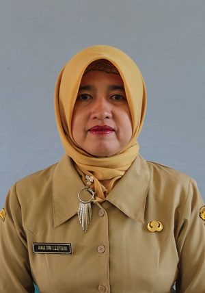 Ana Tri Lestari, S.Pd